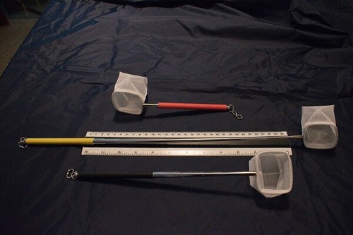 Telescopic shrimp net - telescopic,