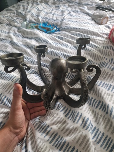 Abigail ahern octopus - abigail,