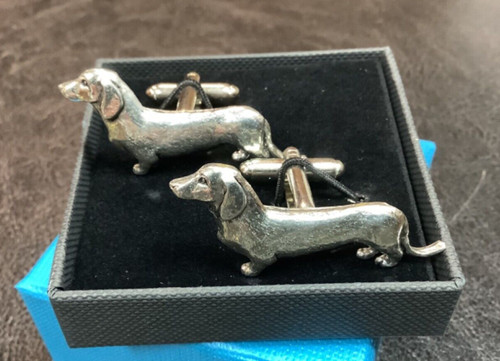 Dachshund english silver - english,