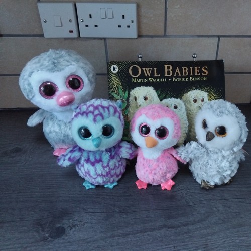 Story sack resource owl - story,