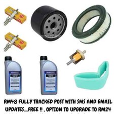 Service Kit Fits Briggs and