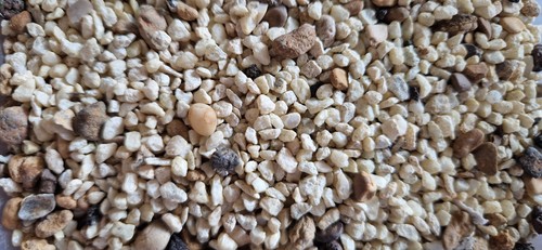 Natural garden aquarium stone - garden,