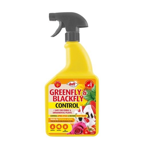 Doff greenfly and blackfly - greenfly,