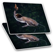 2 x Rectangle Stickers 10 cm - Redtail Catfish Fish Fishing Pond Lake #24100