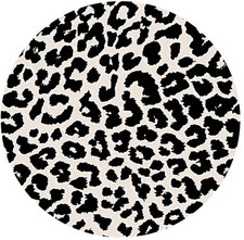 White Leopard Skin Print Car