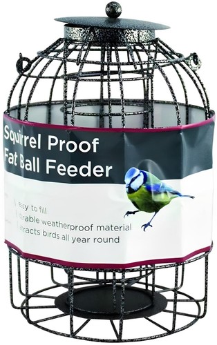 Wild bird caged - wild, fat