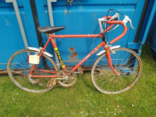 Raleigh europa kids - europa,