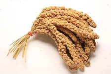 1KG Premium Millet Spray 1kg