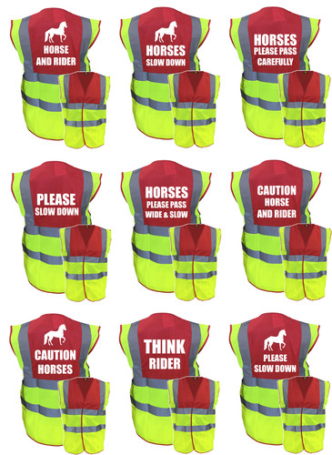 Horse riding vis - horse,