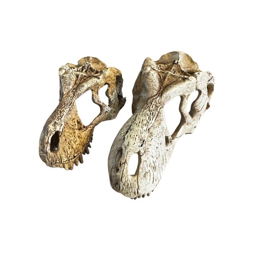 Komodo rex skull reptile - t,