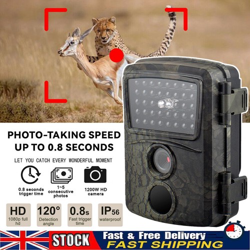 Mini wildlife camera - mini,
