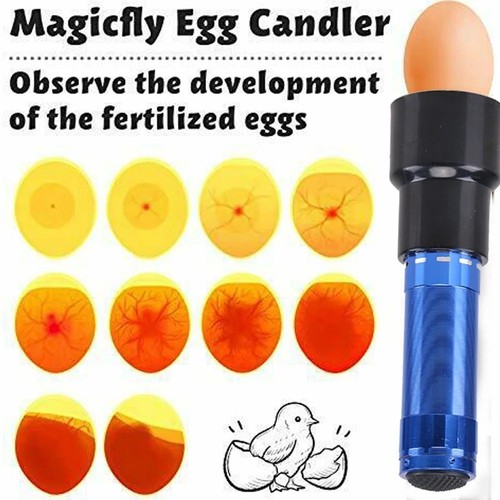 Egg candler tester led - egg, 9
