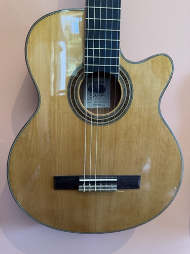 Tanglewood emdc7 classical - tanglewood,
