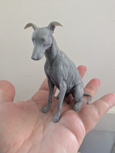Greyhound lurcher whippet - lurcher,