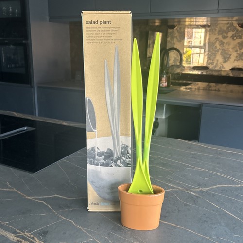 New black blum salad plant - new,
