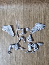 Bretonnian Hero On Pegasus