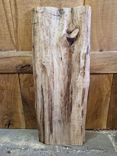 Cedar slab wood - slab,