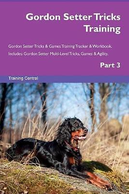 Gordon setter tricks training - gordon,