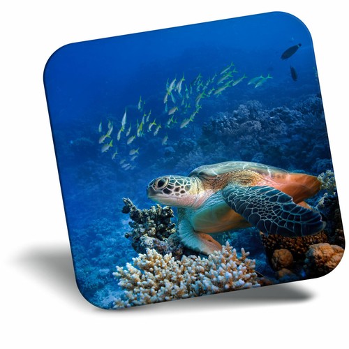 Awesome fridge magnet sea - awesome,