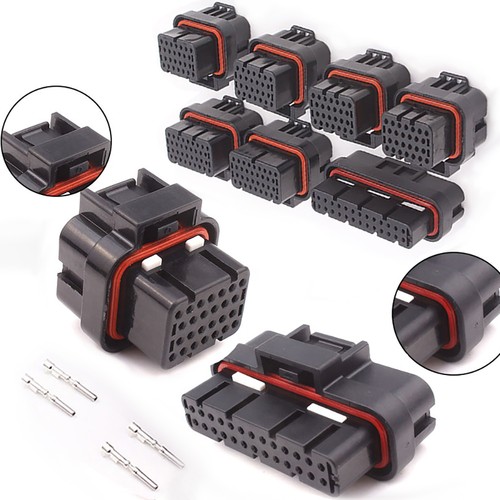 Pin ecu plug - 26, 34