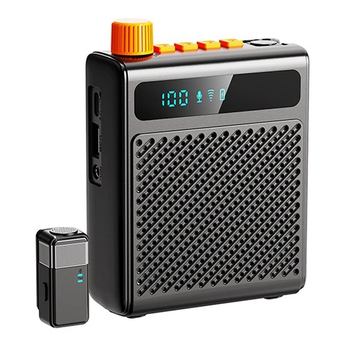 Professional microphone - professional,