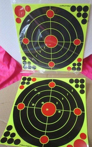 Splatter target 300mm - target, 12"