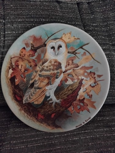 Barn owl coalport bone china - barn,