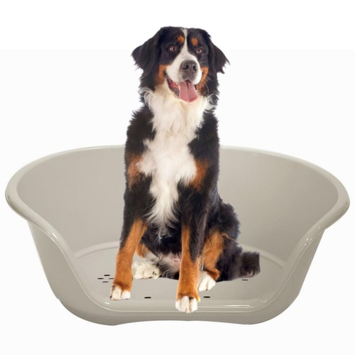 Grey plastic pet - plastic, heavy
