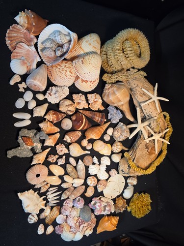 Large lot assorted - lot, of