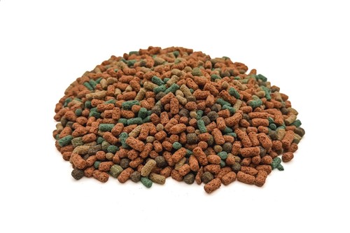 Love your pet koi blend - your,