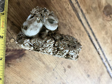 Frkn2 Lovely Vintage Studio Pottery Small Sheep Ram Figurine Figure Ornament