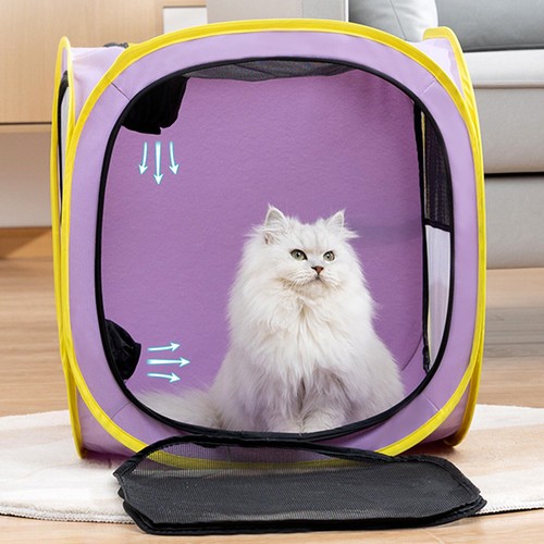 Fast drying pet dryer - drying,