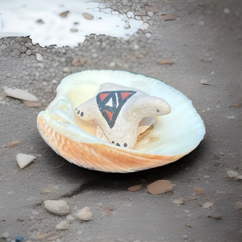 Turtle inside seashell native - turtle,