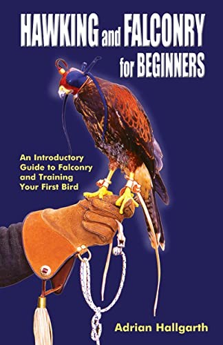 Hawking falconry for - hawking,