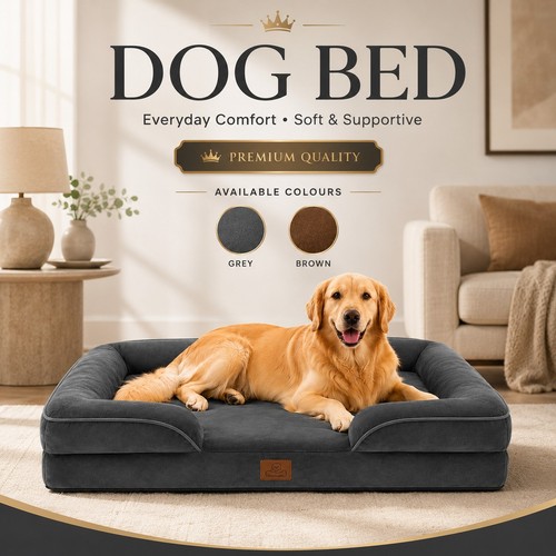 Large orthopedic pet - orthopedic,