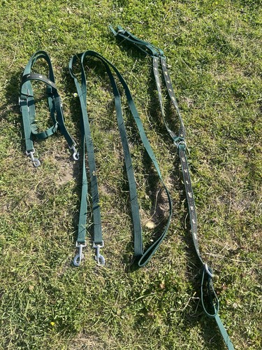 Lovely western webbed green - western,