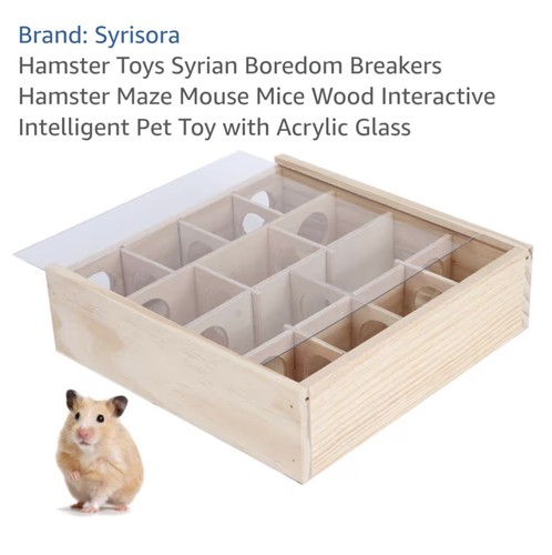 Syrian hamster maze mouse mice - hamster,