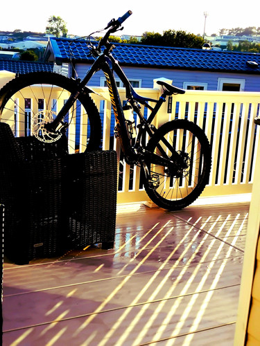 Specialized stumpjumper sfr - specialized,