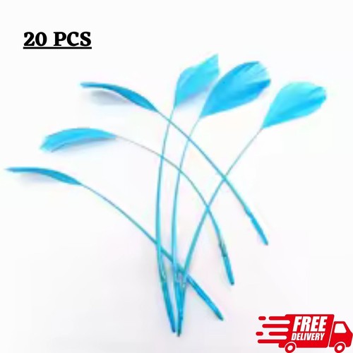 20pcs goose feathers ostrich - 20pcs,