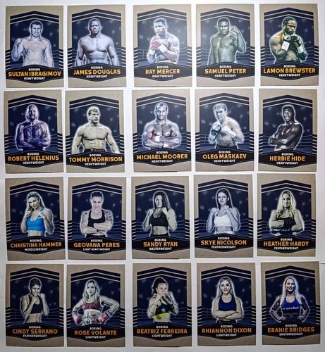 Men boxing champions 2024 - boxing,