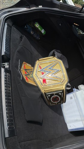 Wwe undisputed championship - undisputed,