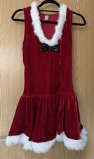 Ann Summers Mrs Claus Miss