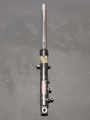 Genuine kawasaki gpx600r - genuine,