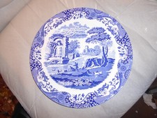 Collectors Spode Blue Italian