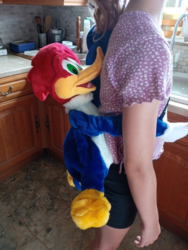 Woody woodpecker bag backpack - woodpecker,
