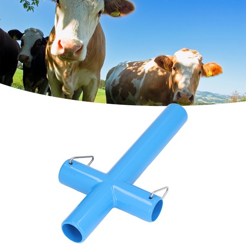 Cow cattle mouth opener - (s)cow,