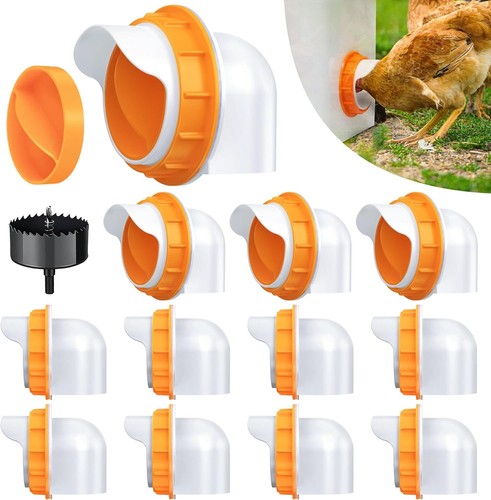 Pack automatic chicken - 12,