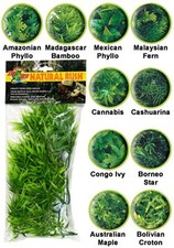 Zoo Med Reptile Natural Bush