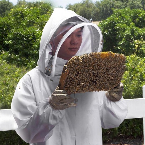 Bee keeping suit - white, cotton