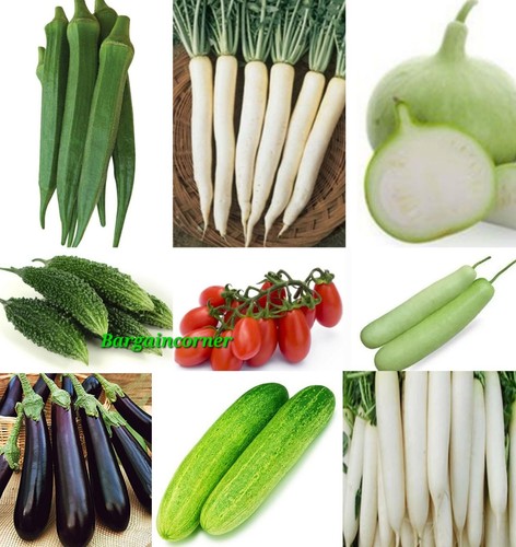 Seeds radish eggplant cucumber - radish,